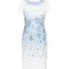 Hobbs Hannah Floral Dress, Blue/White