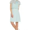 Adrianna Papell Chiffon And Crepe Bias Dress, Mint Green