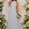 Chi Chi Carlitia Maxi Bridesmaid Dress, Light Blue