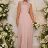 Chi Chi Ezra Floral Lace Embroidered Bridesmaid Maxi Dress, Pink/Blush