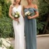 Chi Chi Lauren Bardot Pleated Maxi Bridesmaid Dress, Sage Green