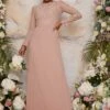 Chi Chi Long Sleeved Lace Maxi Bridesmaid Dress, Pink Blush