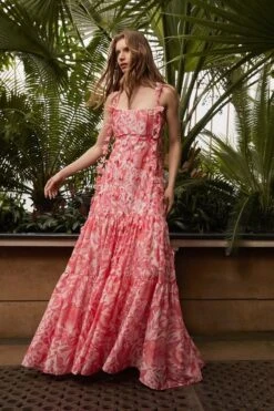 Coast Alexandra Farmer 3d Floral Structured Bodice Maxi Dress, Pink/Multi