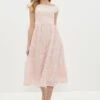 Coast Bardot Ribbon Embroidered Midi Dress, Blush/Light Pink