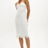 Coast Bustier Lace Pencil Dress, Ivory