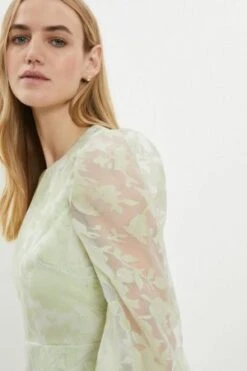 Coast Button Back Organza Burn Out Skater Dress, Pale Green