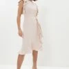 Coast Double Ruffle Hem Dress, Blush/Pale Pink