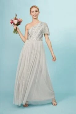 Coast Embellished One Shoulder Maxi Dress, Silver