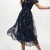 Coast Embroidered Mesh V Neck Dress, Navy/Multi