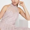 Coast High Neck Sequin Mesh Maxi Bridesmaid Dress, Blush/Pink