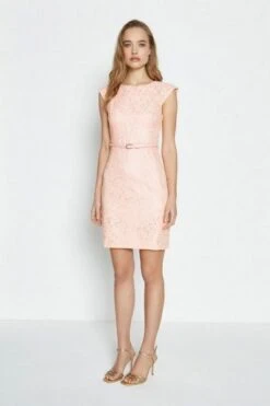 Coast Lace Belted Cap Sleeve Dress, Light Pink/Blush
