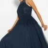 Coast Lace Bodice Tulle Skirt Dress, Navy Blue