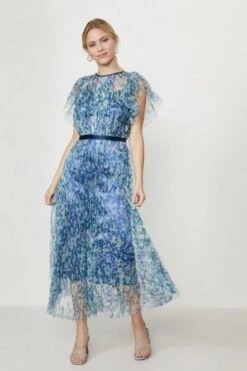 Coast Lace Mesh Printed Dress With Pleated Skirt, Blue/Multi