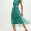 Coast Lace Mesh Printed Dress With Pleated Skirt, Green/Multi
