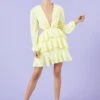 Coast Long Sleeve Cutout Lace Trim Skater Dress, Lemon/Yellow