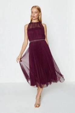 Coast Mesh Pleated Midi Dress, Merlot/Berry