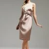Coast Norman Hartnell Premium Draped Bow Shift Dress, Mink