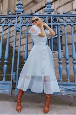Coast Organza Puff Sleeve Dress, Light Blue