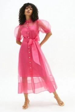 Coast Organza Puff Sleeve Shirt Dress, Pink