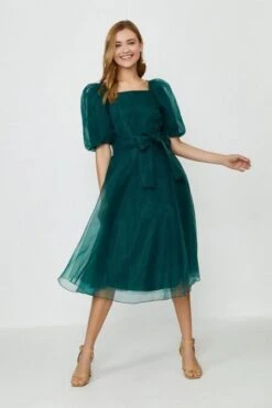 Coast Organza Tie Waist Midi Dress, Green