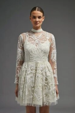 Coast Premium Ls Embellished Mini Dress, Ivory