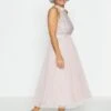 Coast Sequin Bodice Halter Midi Dress, Blush/Light Pink