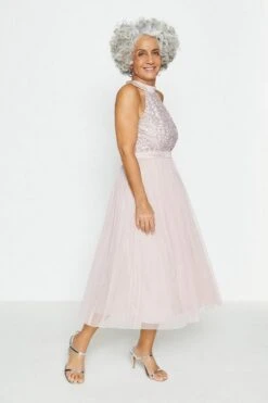 Coast Sequin Bodice Halter Midi Dress, Blush/Light Pink