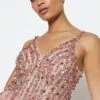 Coast Sequin Bodice Tulle Skirt Maxi Dress, Blush/Pink