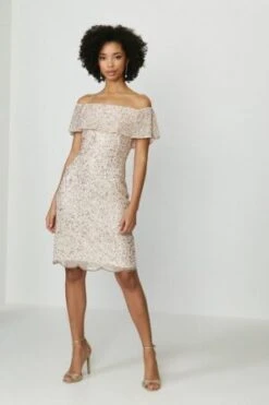 Coast Sequin Embellished Bardot Dress, Light Pink/blush