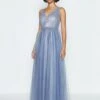 Coast Sleeveless Embellished Bodice Maxi Dress, Blue
