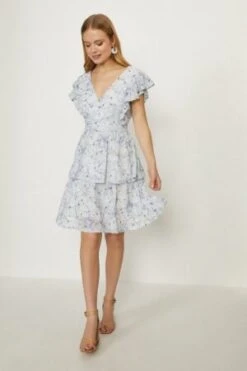 Coast V Neck Broderie Dress, Light Blue