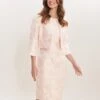 Gina Bacconi Emeline Jacquard Sheath Dress And Bolero, Light Pink/Blush