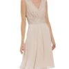 Gina Bacconi Gracie Metallic Corded Lace Dress, Antique Rose