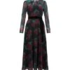 Hobbs Lolita Rose Print Dress, Black/Red