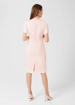 Hobbs Ana Shift Dress, Blush/Light Pink -EleganceWear Store hobbs ana shift dress blush light pink2 e1645262825478