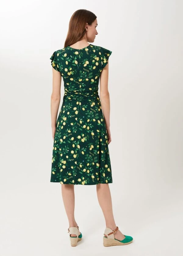 Hobbs Cici Jersey Printed Dress, Green/Yellow 2 Hobbs Cici Jersey Printed Dress, Green/Yellow - Image 2