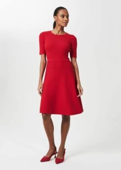 Hobbs Drew Knitted Skater A-line Sleeve Dress, Red