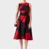 Hobbs Linen Twitchill Floral Print Dress, Navy/Red