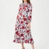 Hobbs Polly Floral Midi Sleeve Dress, Light Blue/Red