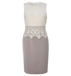 Hobbs Seraphina Lace Shift Dress, Cream/Latte