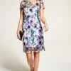 Hot Squash Embroidered Cap Sleeve Party Dress, White/Multi/Lilac