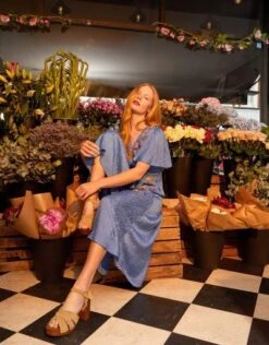 Monsoon Elizabeth Embroidered Jacquard Dress Blue/multi