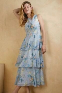 Oasis Embroidery Printed Floral Sleeve Maxi Dress, Blue/Multi