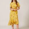Phase Eight Cecily Print Dress, Yellow/Multi