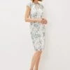 Phase Eight Franky Floral Lace Fitted Dress, Ivory/Multi