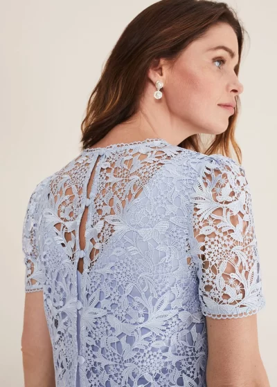 Coast Phase Eight Isabella Lace Dress, Light Cornflower/Blue 4 Coast Phase Eight Isabella Lace Dress, Light Cornflower/Blue - Image 4