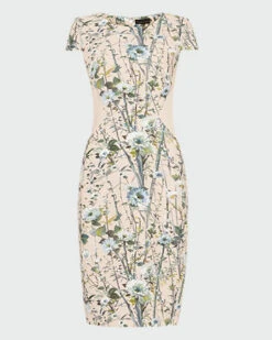 Phase Eight Katarina Floral Dress, Blush/Multi