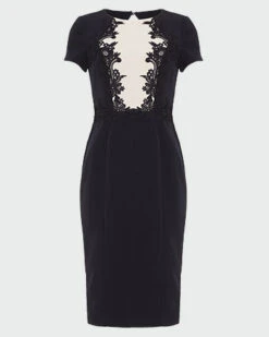 Phase Eight Phoebe Lace Bodice Dress, Black/White