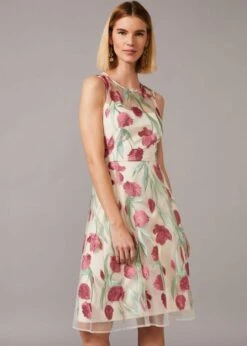 Phase Eight Shae Embroidered Dress, Cream/Pink/Multi