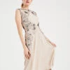 Phase Eight Toria Embellished Tulle Dress, Blush/Nude